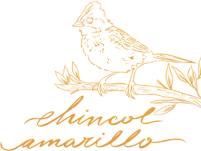 Chincol
